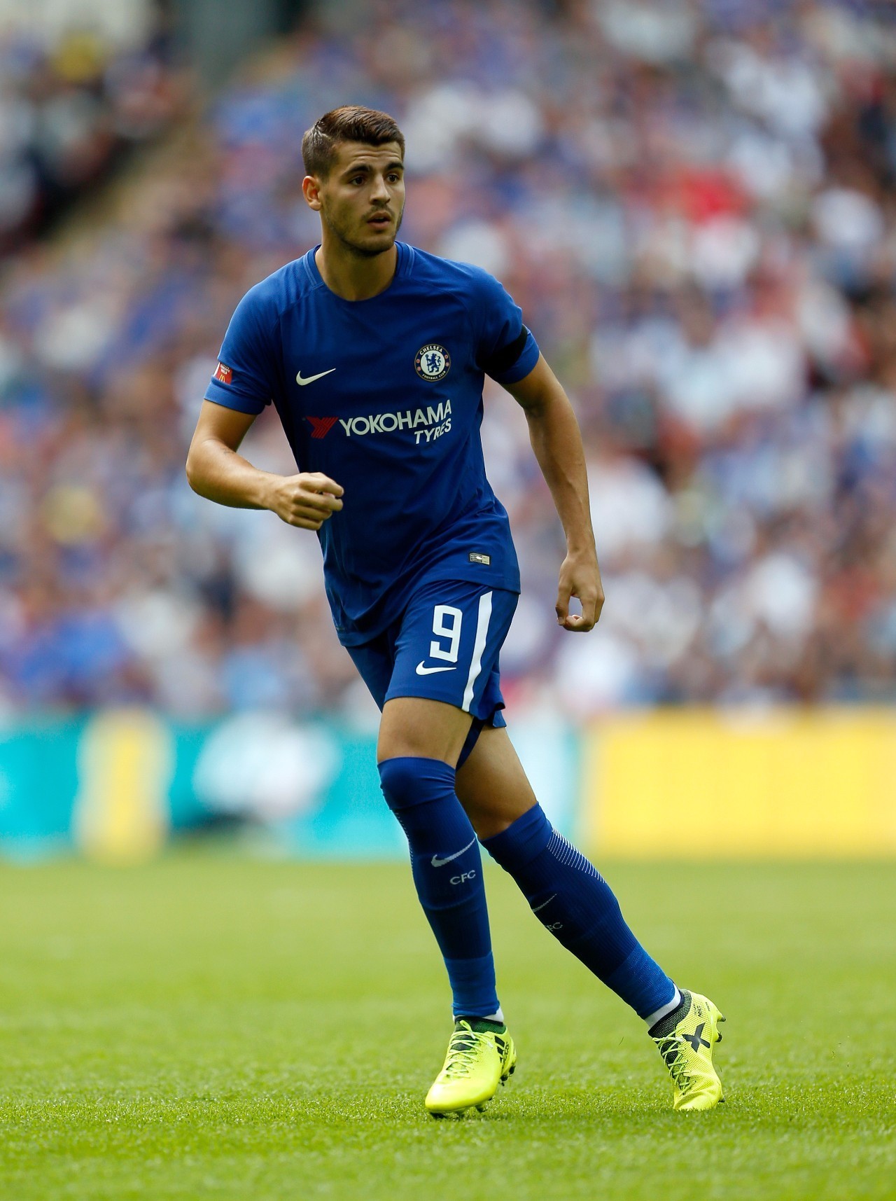 动物油脂精炼设备